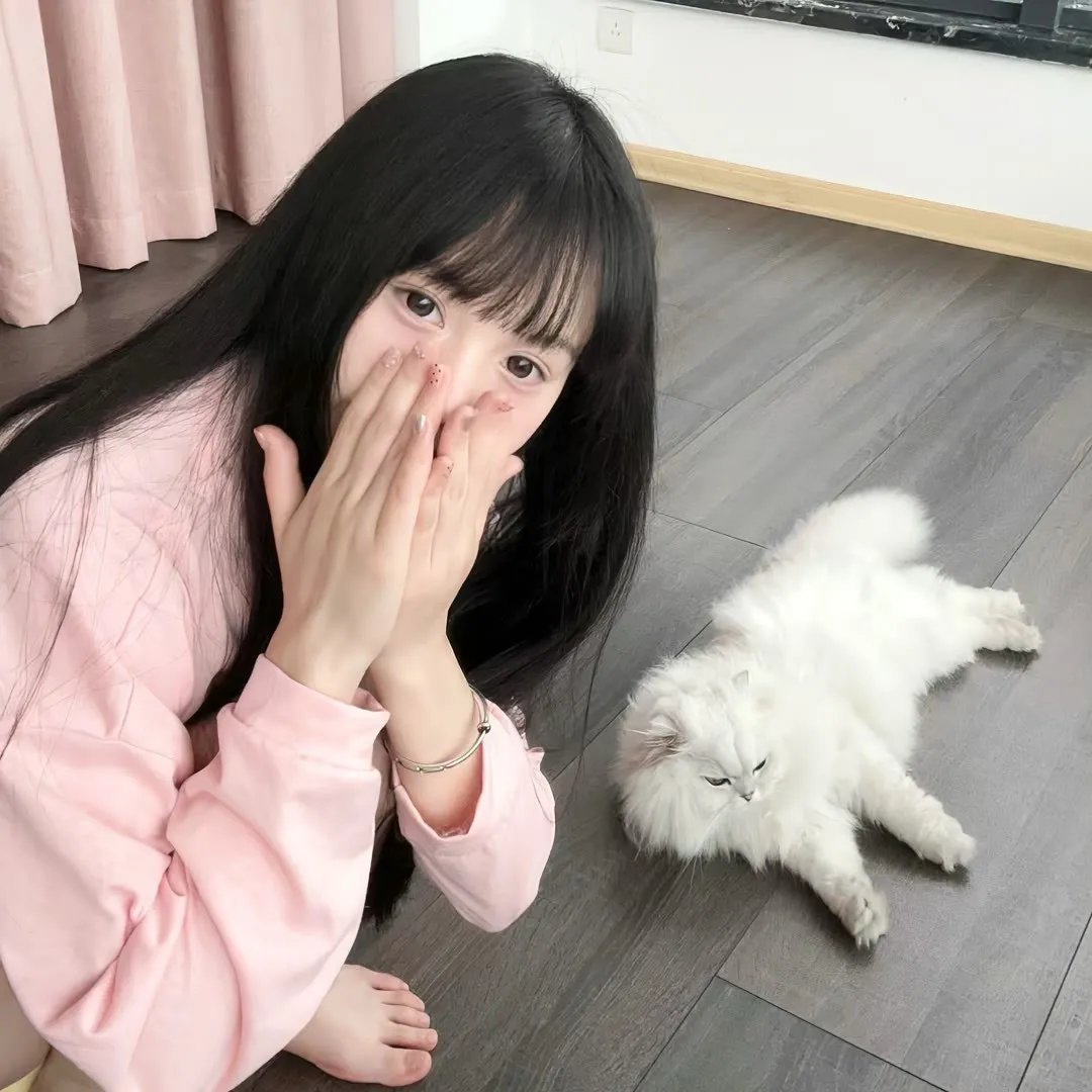 罗马假日